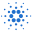 ADA icon
