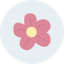 ALICE icon