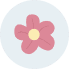 ALICE icon