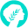 METIS icon