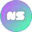 NS icon