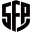 SFP icon