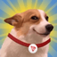 SUNDOG icon