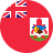 BMD flag
