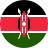 KES flag