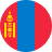 MNT flag